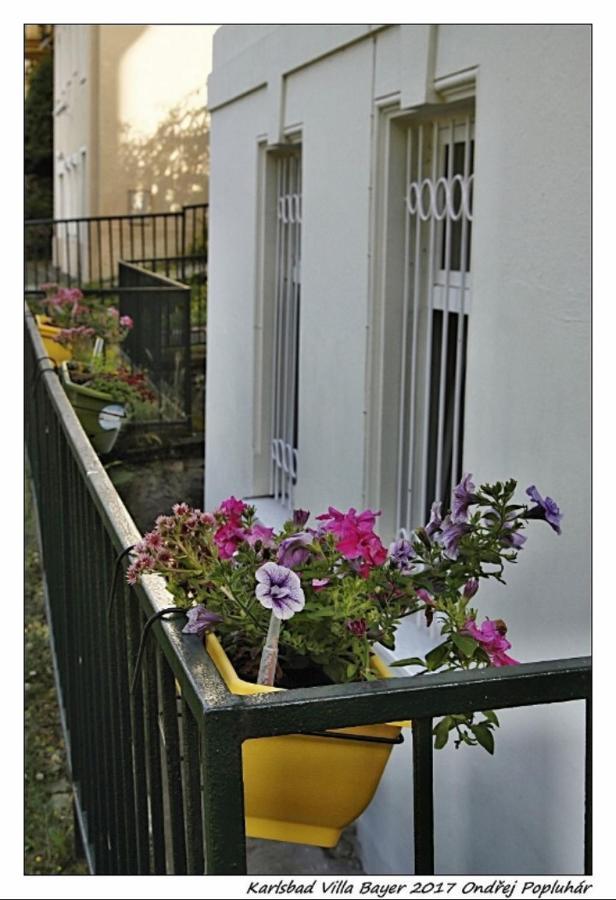Apartman Vila Bayer 卡罗维发利 外观 照片