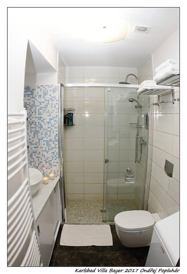 Apartman Vila Bayer 卡罗维发利 外观 照片
