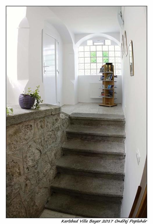 Apartman Vila Bayer 卡罗维发利 外观 照片