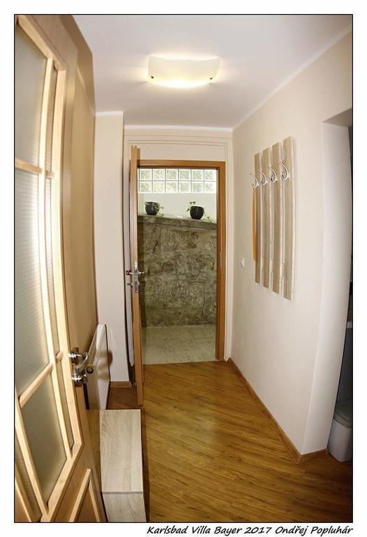 Apartman Vila Bayer 卡罗维发利 外观 照片