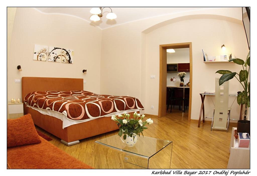 Apartman Vila Bayer 卡罗维发利 外观 照片